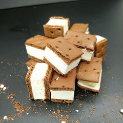 Freeze Dried Ice Cream Sandwich - Vanilla